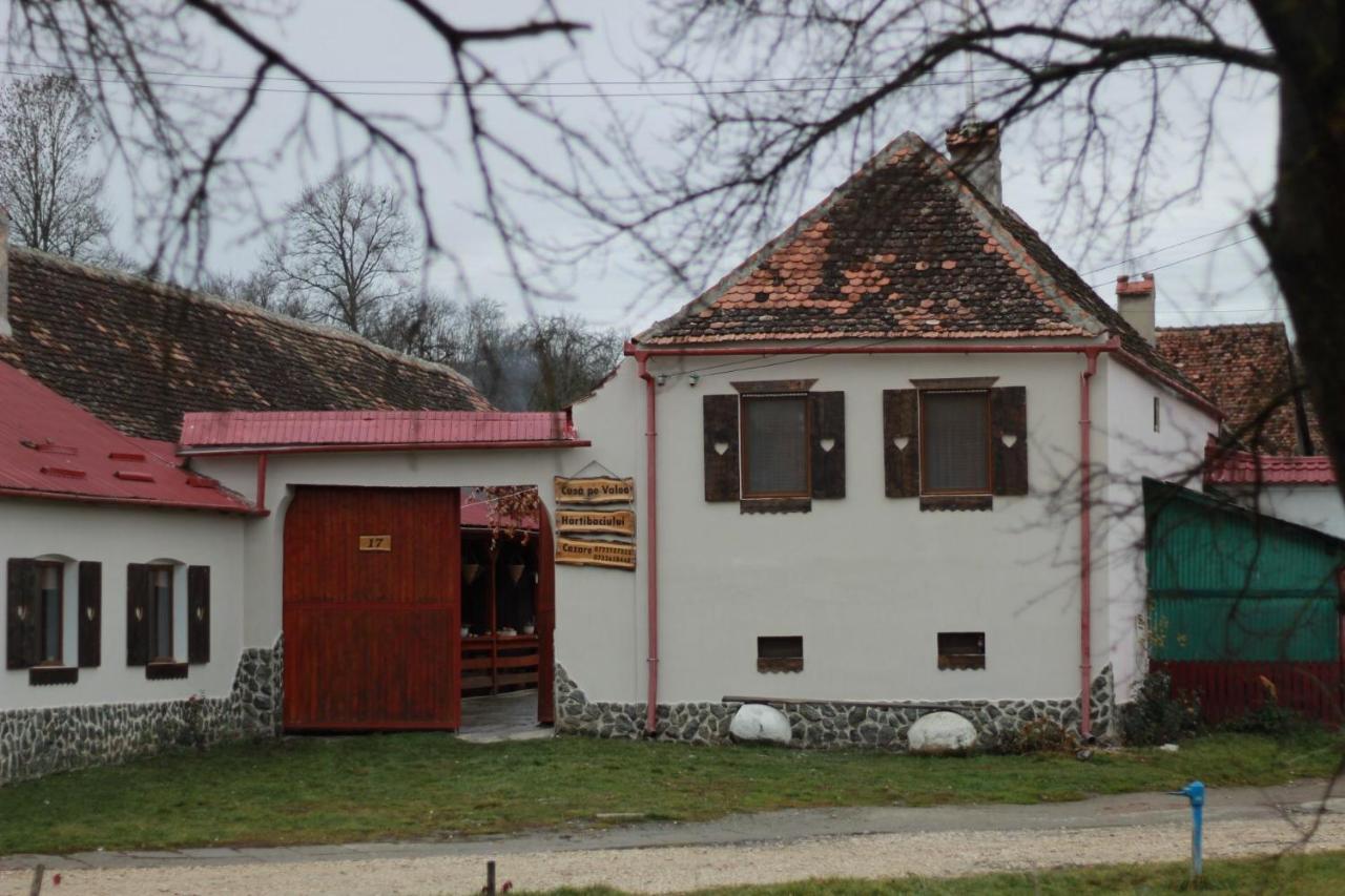Barcut Casa Pe Valea Hartibaciului 게스트하우스 외부 사진