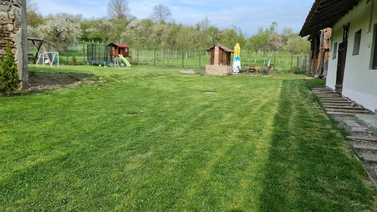 Barcut Casa Pe Valea Hartibaciului 게스트하우스 외부 사진