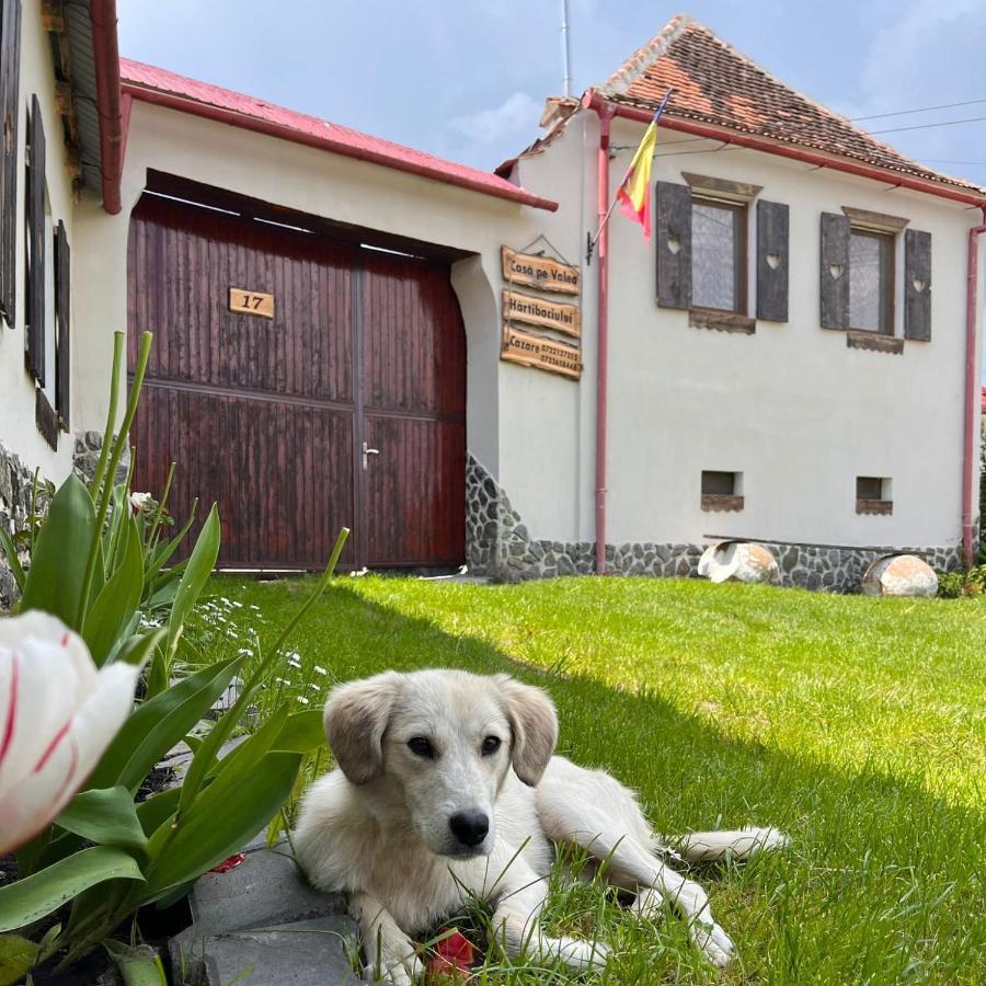 Barcut Casa Pe Valea Hartibaciului 게스트하우스 외부 사진