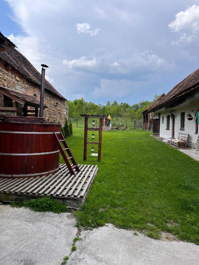 Barcut Casa Pe Valea Hartibaciului 게스트하우스 외부 사진